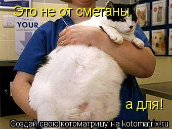 Это не от сметаны, а для!... Котоматрица: Это не от сметаны, а для!