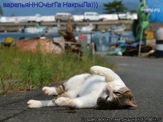 варельяННОчЬгГа НакрыЛа)))... Котоматрица: варельяННОчЬгГа НакрыЛа)))