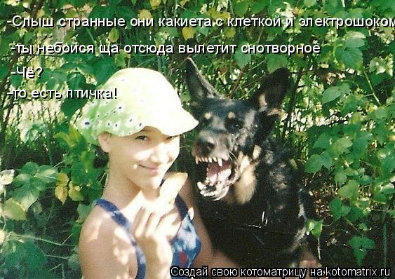 -Слыш странные они какиета с клеткой и электрошоком -ты небойся ща отсюда вылетит снотворное -Чё? -то... Котоматрица: -Слыш странные они какиета с клеткой и электрошоком -ты небойся ща отсюда вылетит снотворное -Чё? -то есть птичка!