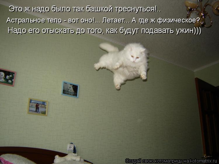 Это ж надо было так башкой треснуться!.. Надо его отыскать до того, как будут подавать ужин))) Астрал... Котоматрица: Это ж надо было так башкой треснуться!.. Надо его отыскать до того, как будут подавать ужин))) Астральное тело - вот оно!... Летает... А где ж физи