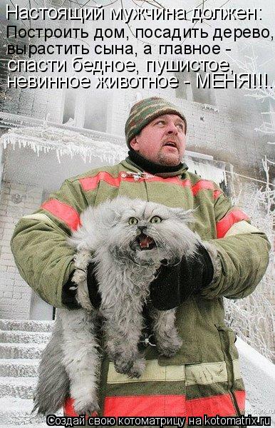 Настоящий мужчина должен: Построить дом, посадить дерево, вырастить сына, а главное - спасти бедное, ... Котоматрица: Настоящий мужчина должен: Построить дом, посадить дерево, вырастить сына, а главное - спасти бедное, пушистое, невинное животное - МЕНЯ!!!...