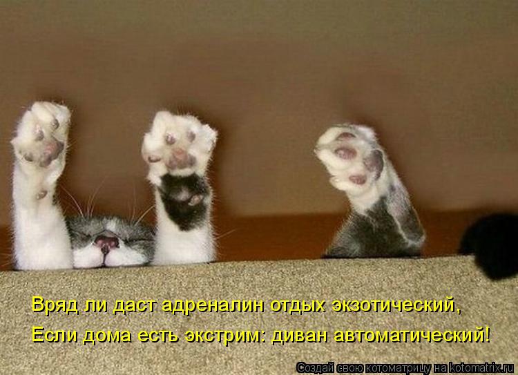 Котоматрица: Если дома есть экстрим: диван автоматический! Вряд ли даст адреналин отдых экзотический,