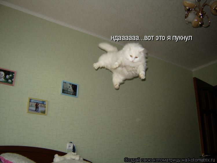ндаааааа...вот это я пукнул... Котоматрица: ндаааааа...вот это я пукнул