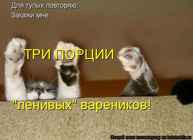 Для тупых повторяю: Закажи мне ТРИ ПОРЦИИ "ленивых" вареников!... Котоматрица: Для тупых повторяю: Закажи мне ТРИ ПОРЦИИ "ленивых" вареников!