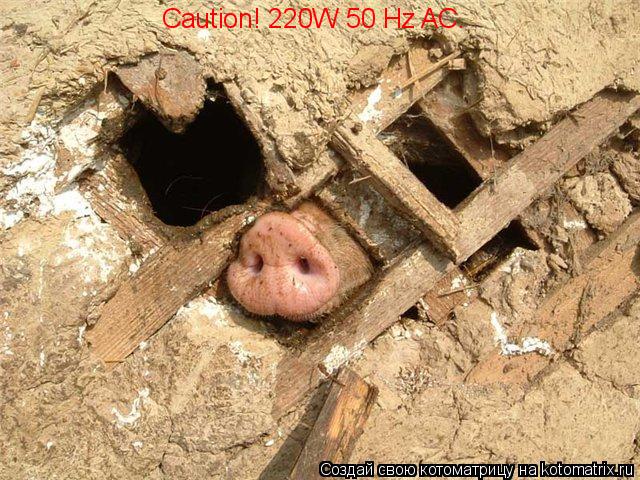 Caution! 220W 50 Hz AC.... Котоматрица: Caution! 220W 50 Hz AC.