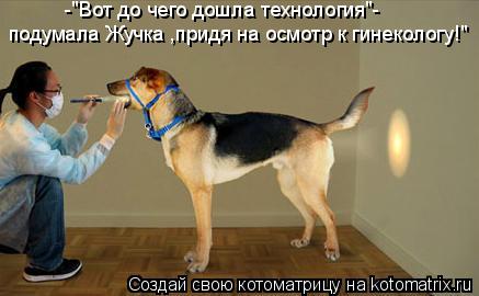 -"Вот до чего дошла технология"- подумала Жучка ,придя на осмотр к гинекологу!"... Котоматрица: -"Вот до чего дошла технология"- подумала Жучка ,придя на осмотр к гинекологу!"