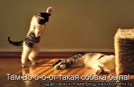 Там Во-о-о-от такая собака была!... Котоматрица: Там Во-о-о-от такая собака была!