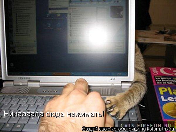 Нинаааада сюда нажимать!... Котоматрица: Нинаааада сюда нажимать!