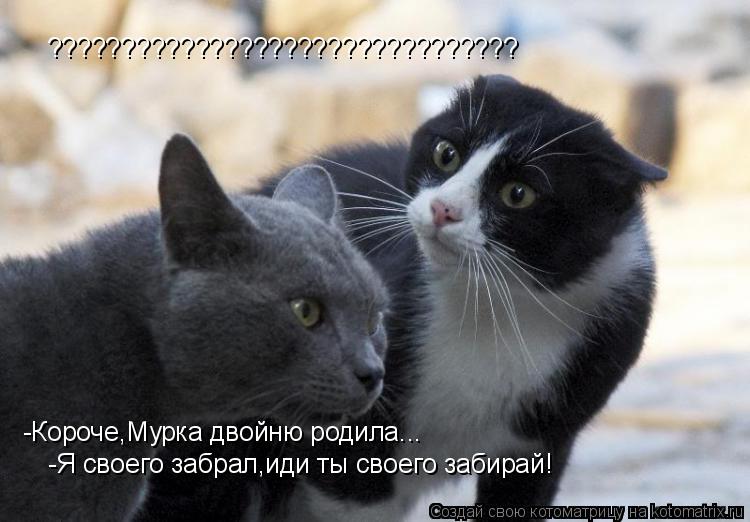 ???????????????????????????????? -Короче,Мурка двойню родила... -Я своего забрал,иди ты своего забира... Котоматрица: ???????????????????????????????? -Короче,Мурка двойню родила... -Я своего забрал,иди ты своего забирай!