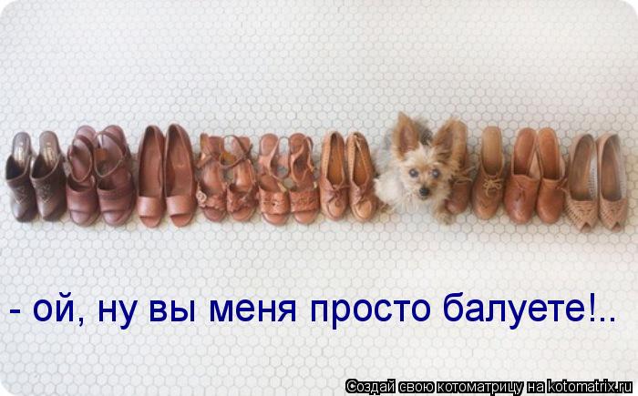 - ой, ну вы меня просто балуете!..... Котоматрица: - ой, ну вы меня просто балуете!..