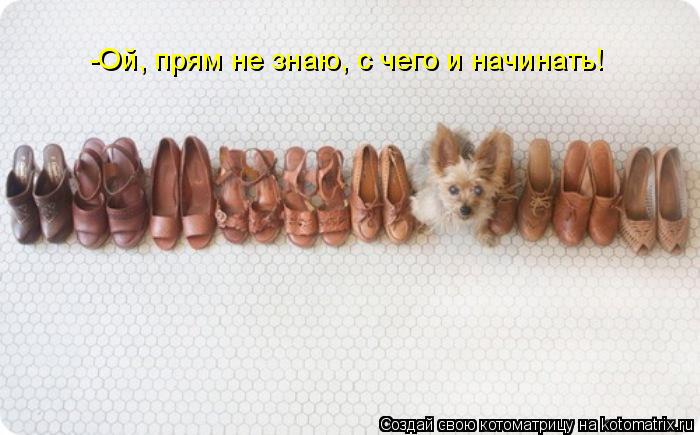-Ой, прям не знаю, с чего и начинать!... Котоматрица: -Ой, прям не знаю, с чего и начинать!