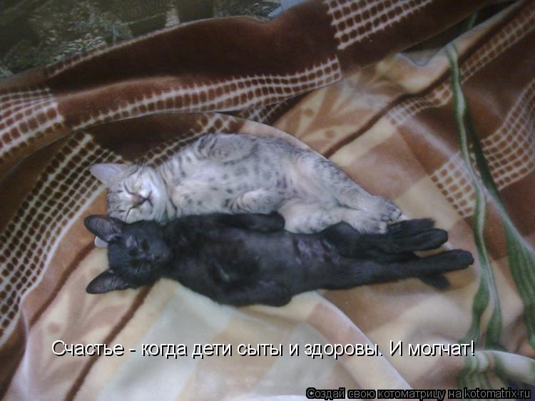 Счастье - когда дети сыты и здоровы. И молчат!... Котоматрица: Счастье - когда дети сыты и здоровы. И молчат!