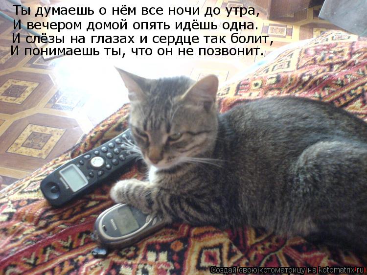 Ты думаешь о нём все ночи до утра, И вечером домой опять идёшь одна. И слёзы на глазах и сердце так б... Котоматрица: Ты думаешь о нём все ночи до утра, И вечером домой опять идёшь одна. И слёзы на глазах и сердце так болит, И понимаешь ты, что он не позвонит.