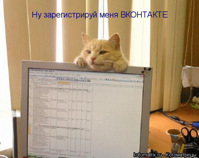Ну зарегистрируй меня ВКОНТАКТЕ... Котоматрица: Ну зарегистрируй меня ВКОНТАКТЕ