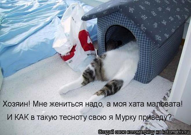 Хозяин! Мне жениться надо, а моя хата маловата! И КАК в такую тесноту свою я Мурку приведу?... Котоматрица: Хозяин! Мне жениться надо, а моя хата маловата! И КАК в такую тесноту свою я Мурку приведу?