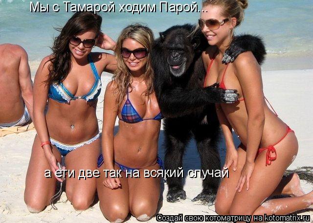 Мы с Тамарой ходим Парой... а ети две так на всякий случай... Котоматрица: Мы с Тамарой ходим Парой... а ети две так на всякий случай