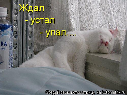 Ждал - устал - упал....... Котоматрица: Ждал - устал - упал....