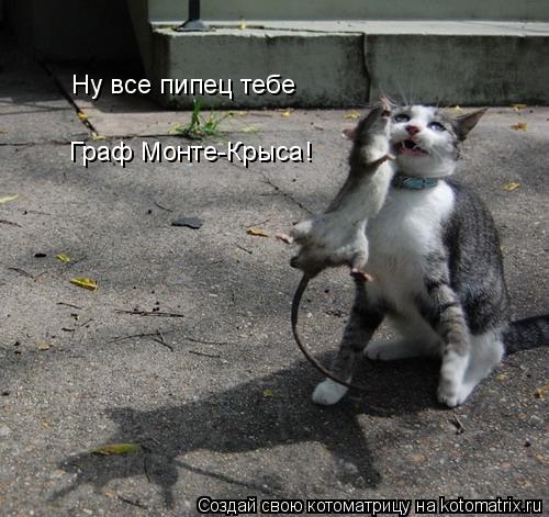 Ну все пипец тебе Граф Монте-Крыса!... Котоматрица: Ну все пипец тебе Граф Монте-Крыса!