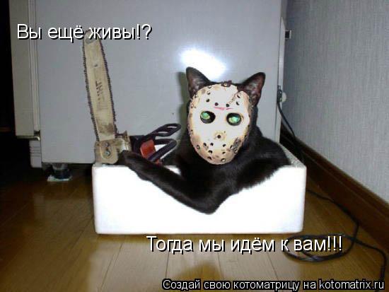 Вы ещё живы!? Тогда мы идём к вам!!!... Котоматрица: Вы ещё живы!? Тогда мы идём к вам!!!