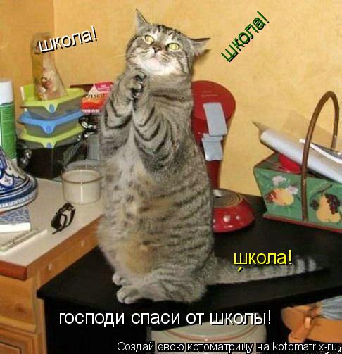 господи спаси от школы! школа! школа! школа! -... Котоматрица: господи спаси от школы! школа! школа! школа! -