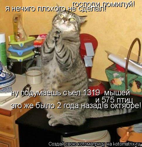 господи,помилуй! я нечиго плохого не сделал! ну подумаешь съел 1319 мышей и 575 птиц это же было 2... Котоматрица: господи,помилуй! я нечиго плохого не сделал! ну подумаешь съел 1319 мышей и 575 птиц это же было 2 года назад!в октябре!