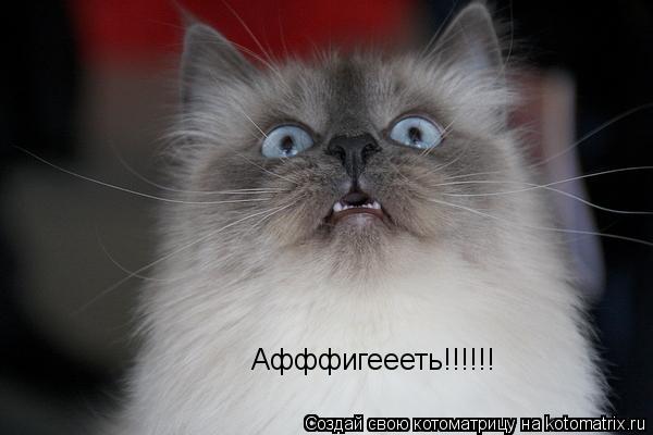 Афффигеееть!!!!!!... Котоматрица: Афффигеееть!!!!!!
