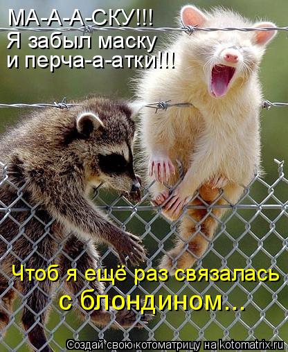 Котоматрица: МА-А-А-СКУ!!! Я забыл маску  и перча-а-атки!!! Чтоб я ещё раз связалась с блондином...