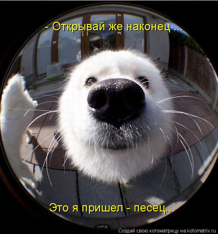 http://kotomatrix.ru/images/lolz/2009/09/14/357446.jpg