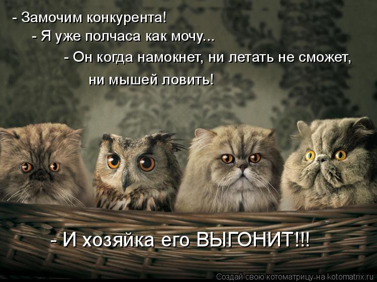 - Замочим конкурента! - Я уже полчаса как мочу... - Он когда намокнет, ни летать не сможет, ни мышей ... Котоматрица: - Замочим конкурента! - Я уже полчаса как мочу... - Он когда намокнет, ни летать не сможет, ни мышей ловить! - И хозяйка его ВЫГОНИТ!!!