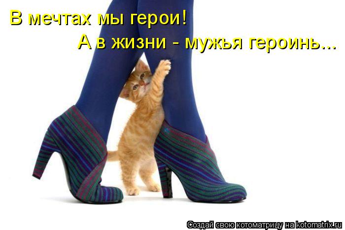 В мечтах мы герои! А в жизни - мужья героинь...... Котоматрица: В мечтах мы герои! А в жизни - мужья героинь...
