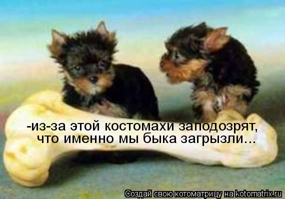 -из-за этой костомахи заподозрят, что именно мы быка загрызли...... Котоматрица: -из-за этой костомахи заподозрят, что именно мы быка загрызли...