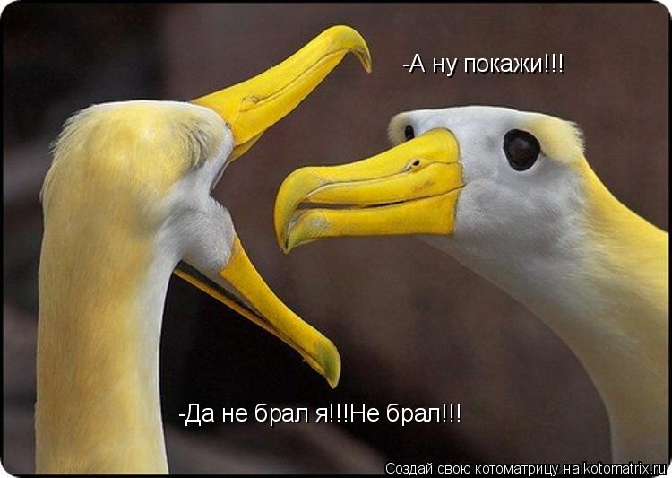 -А ну покажи!!! -Да не брал я!!!Не брал!!!... Котоматрица: -А ну покажи!!! -Да не брал я!!!Не брал!!!