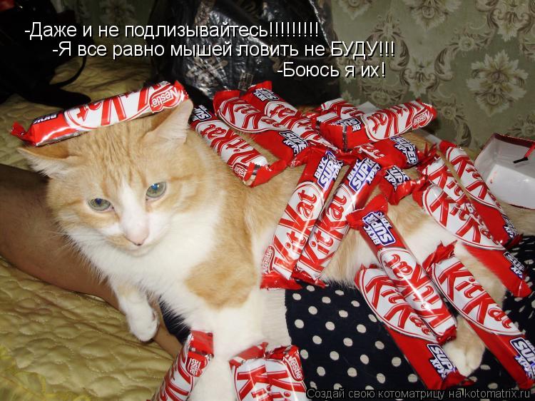 -Даже и не подлизывайтесь!!!!!!!!! -Я все равно мышей ловить не БУДУ!!! -Боюсь я их!... Котоматрица: -Даже и не подлизывайтесь!!!!!!!!! -Я все равно мышей ловить не БУДУ!!! -Боюсь я их!