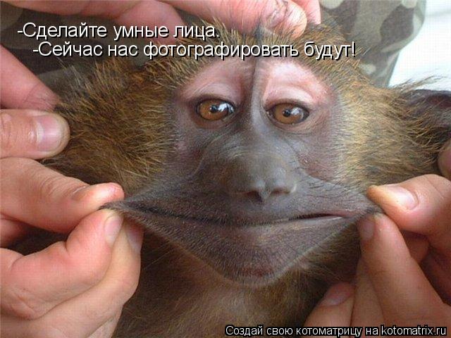 -Сделайте умные лица. -Сейчас нас фотографировать будут!... Котоматрица: -Сделайте умные лица. -Сейчас нас фотографировать будут!