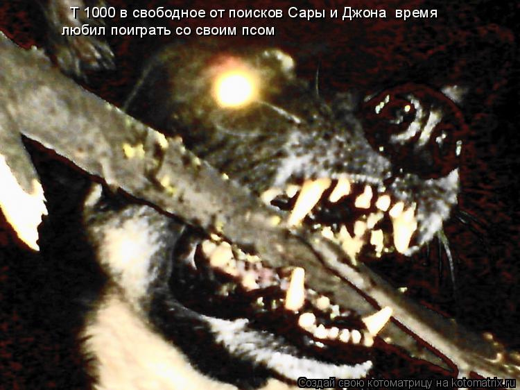 любил поиграть со своим псом Т 1000 в свободное от поисков Сары и Джона время... Котоматрица: любил поиграть со своим псом Т 1000 в свободное от поисков Сары и Джона время
