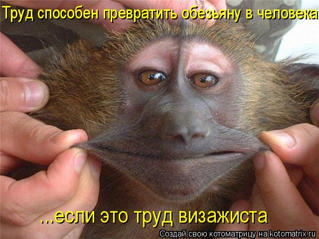 Труд способен превратить обезьяну в человека, ...если это труд визажиста... Котоматрица: Труд способен превратить обезьяну в человека, ...если это труд визажиста