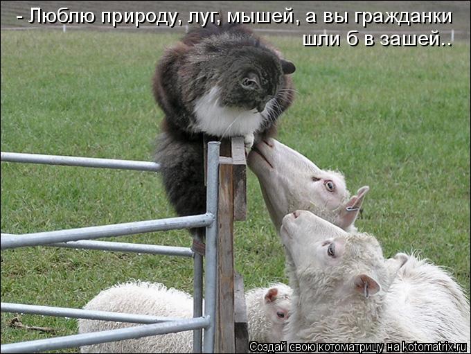 - Люблю природу, луг, мышей, а вы гражданки шли б в зашей..... Котоматрица: - Люблю природу, луг, мышей, а вы гражданки шли б в зашей..