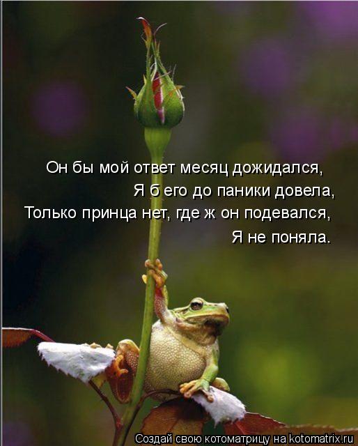 Он бы мой ответ месяц дожидался, Я б его до паники довела, Только принца нет, где ж он подевался, ... Котоматрица: Он бы мой ответ месяц дожидался, Я б его до паники довела, Только принца нет, где ж он подевался, Я не поняла.