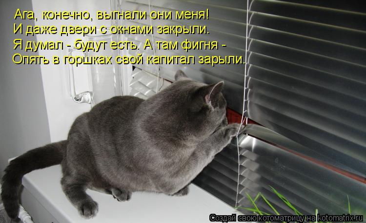 Ага, конечно, выгнали они меня! Ага, конечно, выгнали они меня! И даже двери с окнами закрыли. Я дума... Котоматрица: Ага, конечно, выгнали они меня! Ага, конечно, выгнали они меня! И даже двери с окнами закрыли. Я думал - будут есть. А там фигня - Опять в горшках