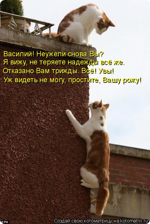 Василий! Неужели снова Вы? Я вижу, не теряете надежды всё же. Отказано Вам трижды. Всё! Увы! Уж видет... Котоматрица: Василий! Неужели снова Вы? Я вижу, не теряете надежды всё же. Отказано Вам трижды. Всё! Увы! Уж видеть не могу, простите, Вашу рожу!