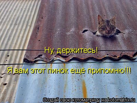 Ну, держитесь! Я вам этот пинок ещё припомню!!!... Котоматрица: Ну, держитесь! Я вам этот пинок ещё припомню!!!