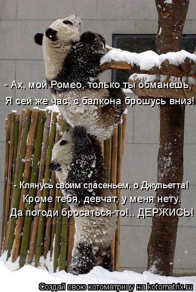 - Ах, мой Ромео, только ты обманешь, Я сей же час, с балкона брошусь вниз! - Клянусь своим спасеньем,... Котоматрица: - Ах, мой Ромео, только ты обманешь, Я сей же час, с балкона брошусь вниз! - Клянусь своим спасеньем, о Джульетта! Кроме тебя, девчат, у меня нету
