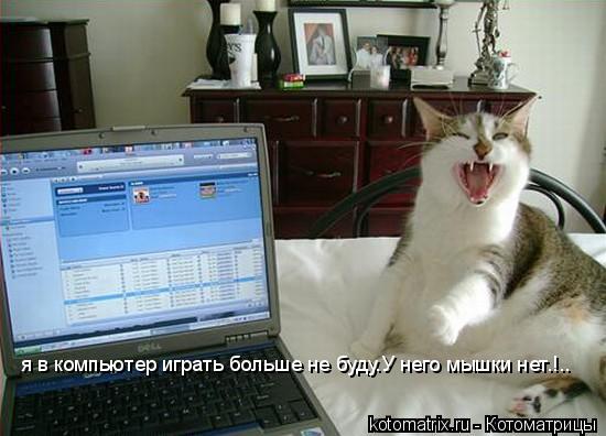 я в компьютер играть больше не буду.У него мышки нет.!..... Котоматрица: я в компьютер играть больше не буду.У него мышки нет.!..