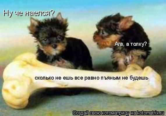 Ну че наелся? Ага, а толку? сколько не ешь все равно пъяным не будешь... Котоматрица: Ну че наелся? Ага, а толку? сколько не ешь все равно пъяным не будешь