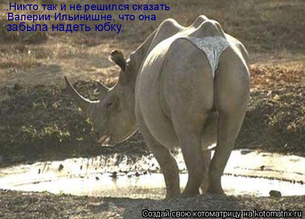 ..Никто так и не решился сказать Валерии Ильинишне, что она забыла надеть юбку.... Котоматрица: ..Никто так и не решился сказать Валерии Ильинишне, что она забыла надеть юбку.