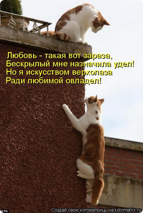 Любовь - такая вот зараза, Бескрылый мне назначила удел! Но я искусством верхолаза Ради любимой овлад... Котоматрица: Любовь - такая вот зараза, Бескрылый мне назначила удел! Но я искусством верхолаза Ради любимой овладел!