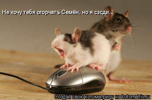 Не хочу тебя огорчатъ Семён, но я сзсди...... Котоматрица: Не хочу тебя огорчатъ Семён, но я сзсди...