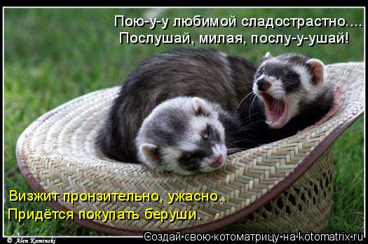 Послушай, милая, послу-у-ушай! Визжит пронзительно, ужасно…. Придётся покупать беруши. Пою-у-у любим... Котоматрица: Послушай, милая, послу-у-ушай! Визжит пронзительно, ужасно…. Придётся покупать беруши. Пою-у-у любимой сладострастно...…