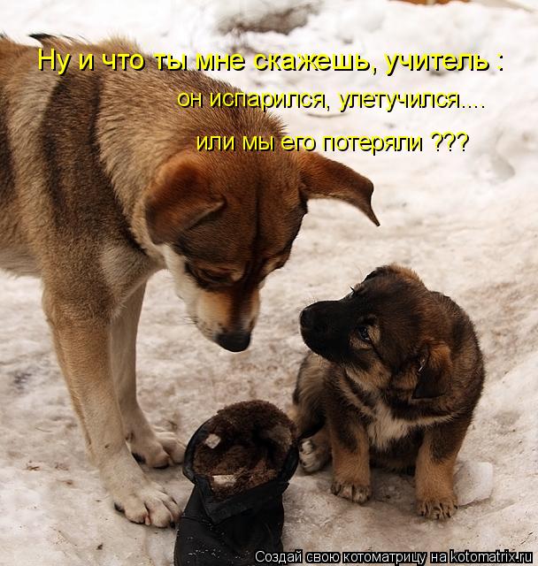Ну и что ты мне скажешь, учитель : он испарился, улетучился.... или мы его потеряли ???... Котоматрица: Ну и что ты мне скажешь, учитель : он испарился, улетучился.... или мы его потеряли ???
