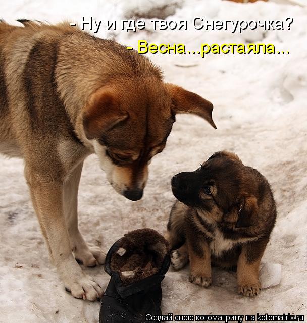 - Ну и где твоя Снегурочка? - Весна...растаяла...... Котоматрица: - Ну и где твоя Снегурочка? - Весна...растаяла...